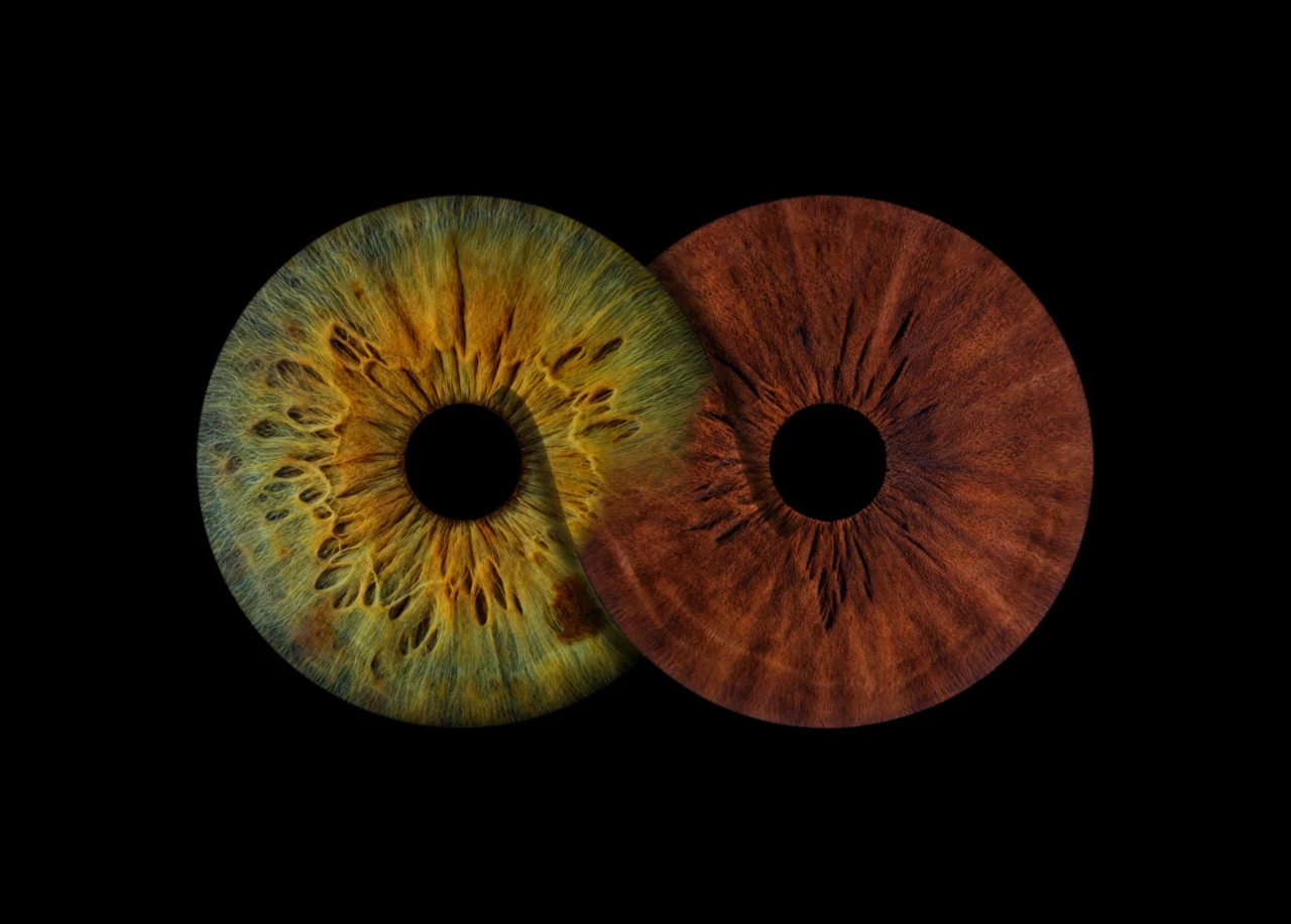 Iris verde dorado y cobrizo unidos en un infinito