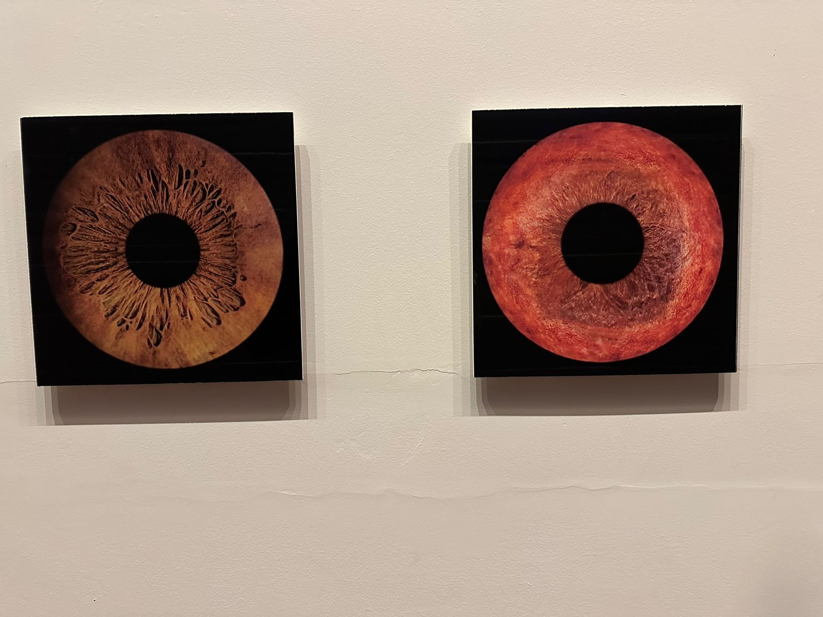 Cuadros individuales